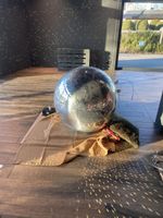 Discokugel 140cm Dm mit Motor TOP Zustand