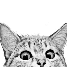 Profile image of Enoooo