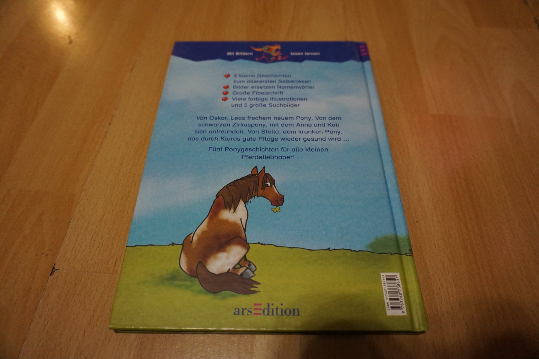Libri: Kunterbunte Ponygeschichten, Kinderbuch! – Usato da Zürich venduto da einalemjena 4