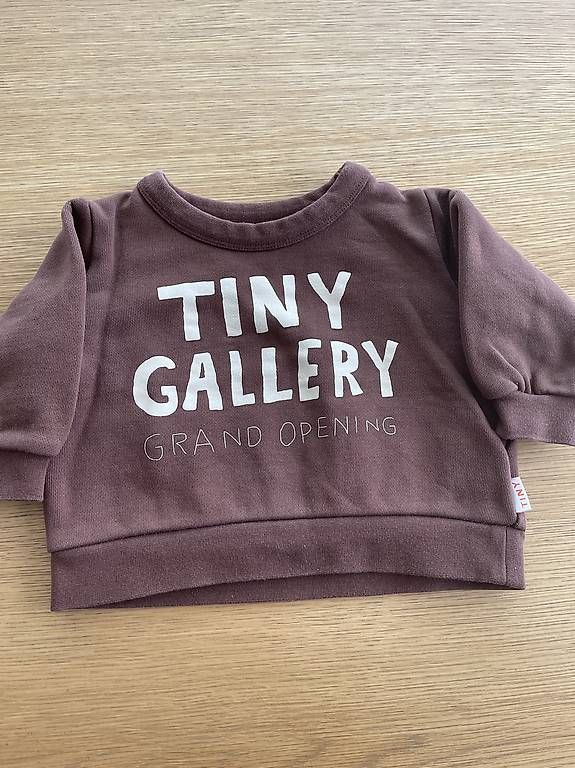 Maglioni & Felpe: TINY COTTONS Sweatshirt Gr. 12m – Usato da Schindellegi venduto da Erna_B.