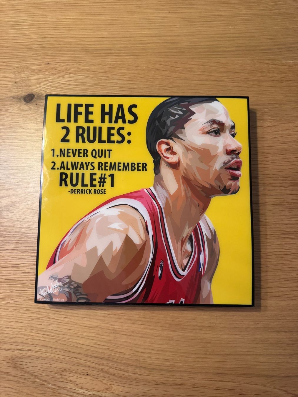 Toiles & Châssis: Tableau Derrick Rose 26cm x 26cm – D'occasion à Bussigny par Maxence10
