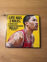 Tableau Derrick Rose 26cm x 26cm