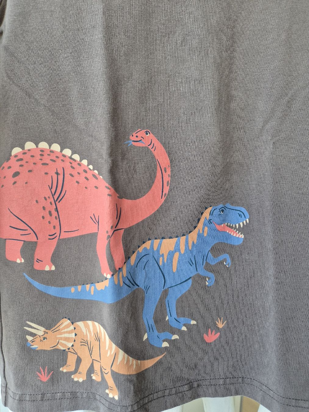 Pullover & Sweatshirts: Langarmshirt-Set Gr. 128, Dinos Bagger, Top Quali – Gebraucht aus Zollikerberg von ExcellenceInProducts 5