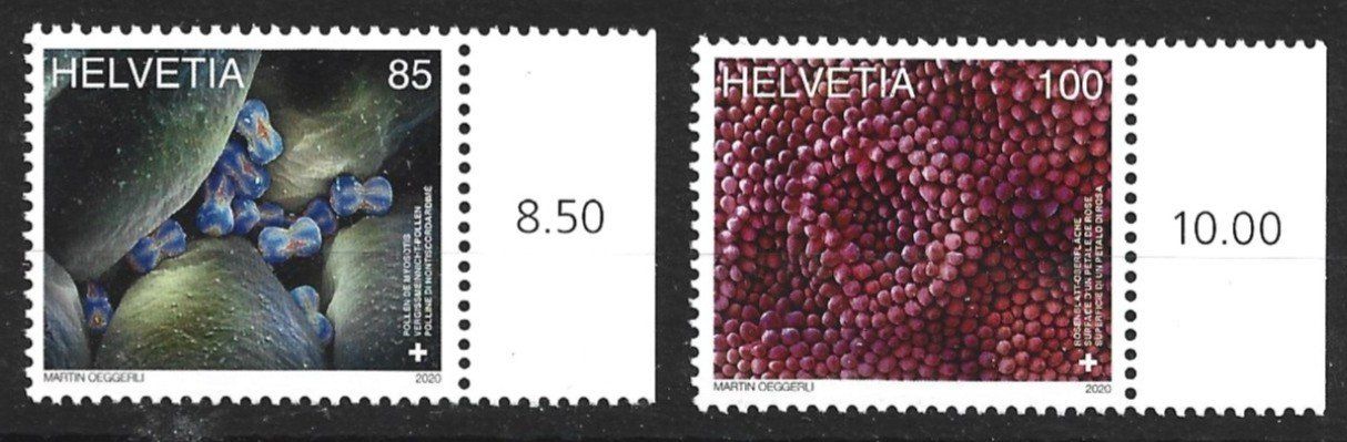 Tous les timbres: 2020 Schweiz – Neuf avec emballage d'origine à Trübbach par Sammer51