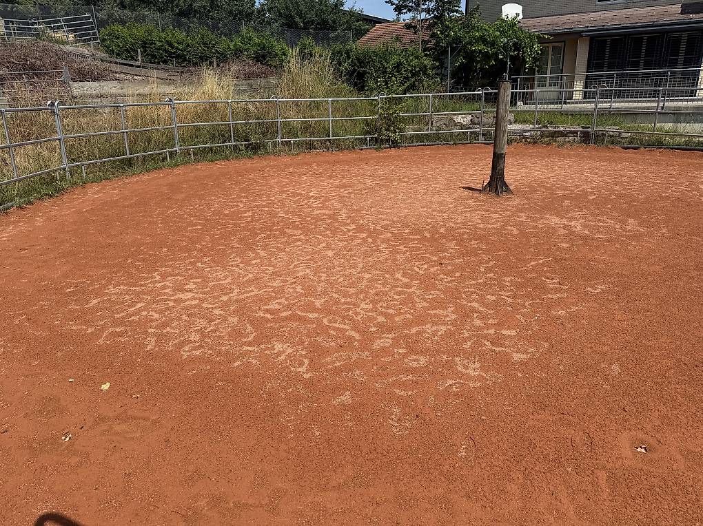 Steine & Dachziegeln: Ziegelsand – Gebraucht aus Ursenbach von highland-cattle