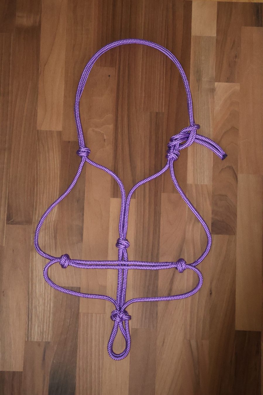 Briglie & Cavezze: Knotenhalfter Pony / Cob – Nuovo (secondo la descrizione) da Meggen venduto da Orrinka20 1