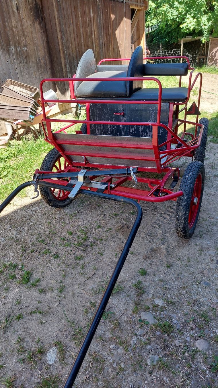 Carrozze: Kutsche Pony/Kleinpferd – Usato da Schmidigen-Mühleweg venduto da Ka22