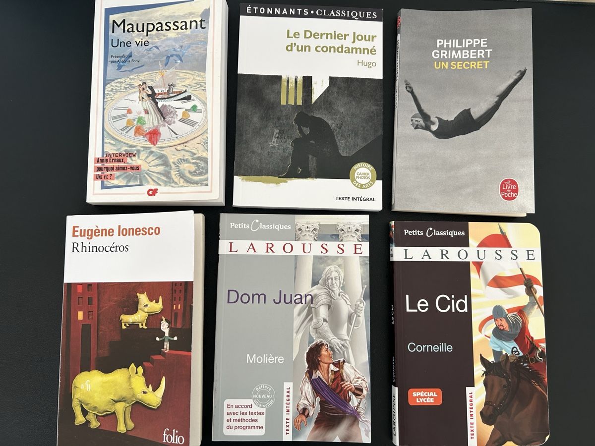 Bücher: Classiques littérature française  – Gebraucht aus Neuchâtel von mey_gx5m