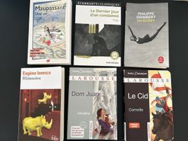 Classiques littérature française 