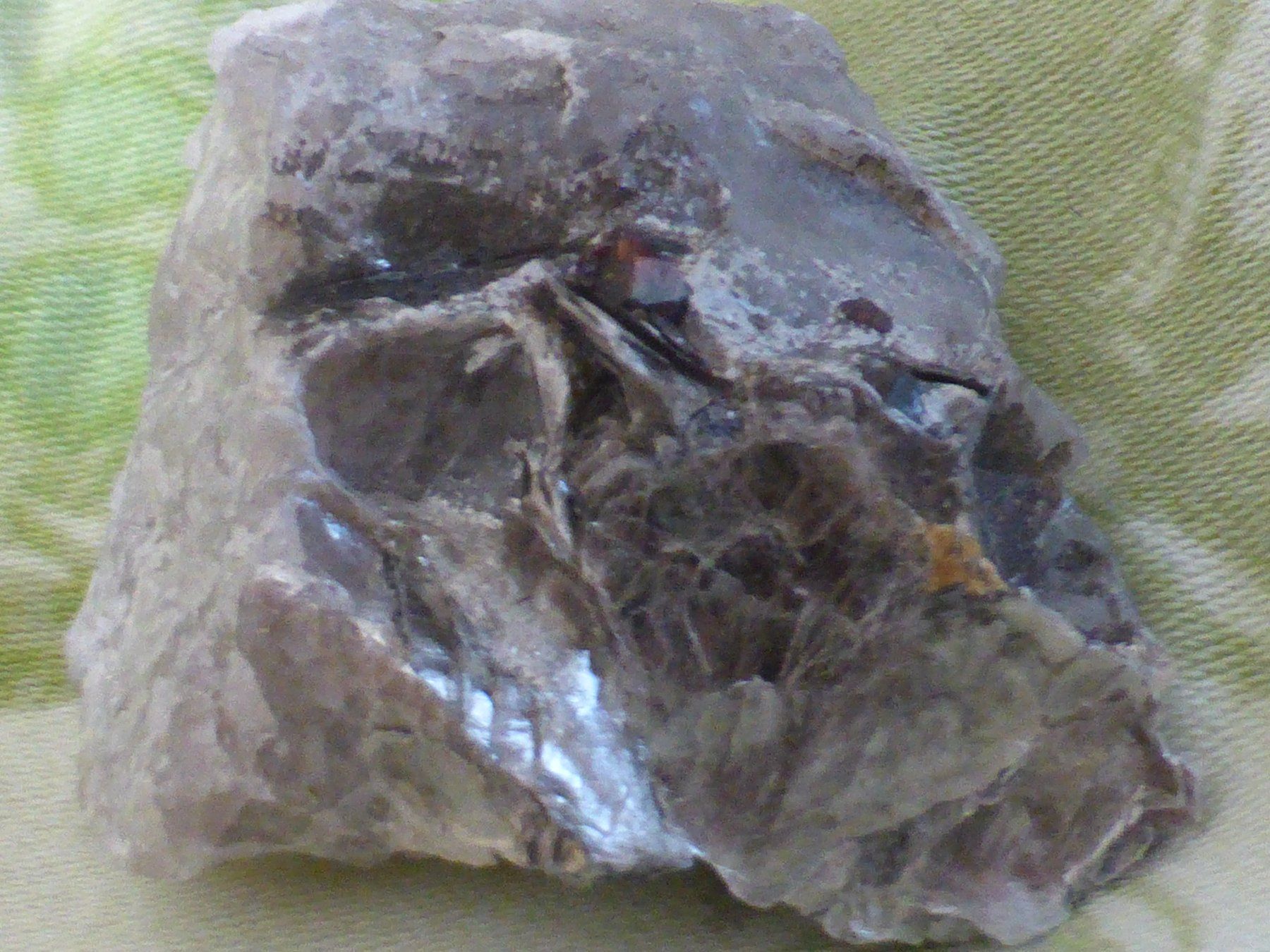 Minerali & Pietre curative: Schöner Granat mit Muskovit, Binntal – Usato da Triengen venduto da Nussbaum14 7