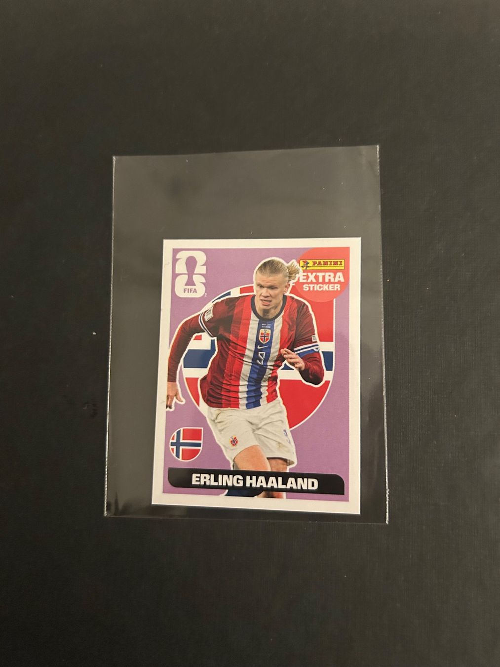 Panini Carte collezionabili: Panini Erling Haaland Sticker lila – Nuovo (secondo la descrizione) da Zürich venduto da Yvo619