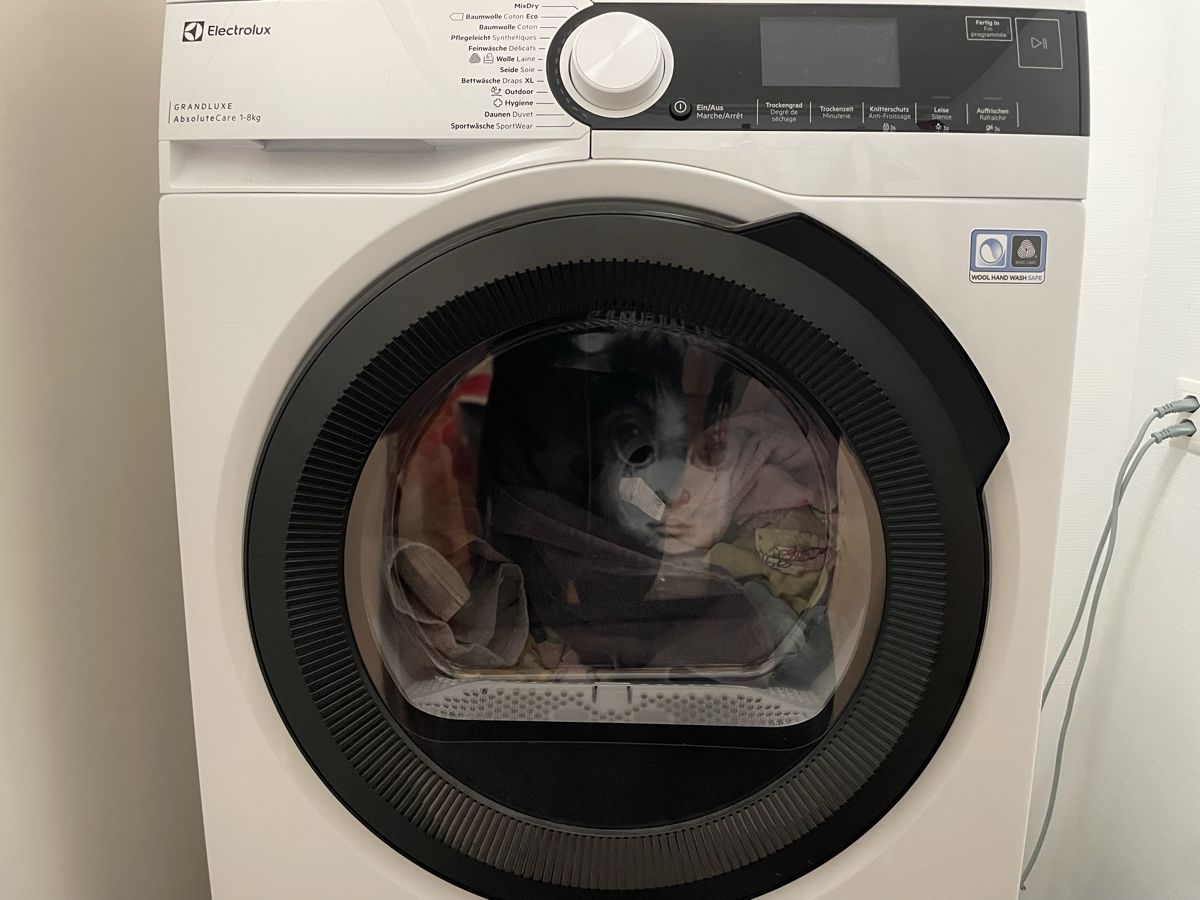 Electrolux Lavatrici: Waschmaschine + Trockner – Nuovo (secondo la descrizione) da Wabern venduto da rafisaway 1