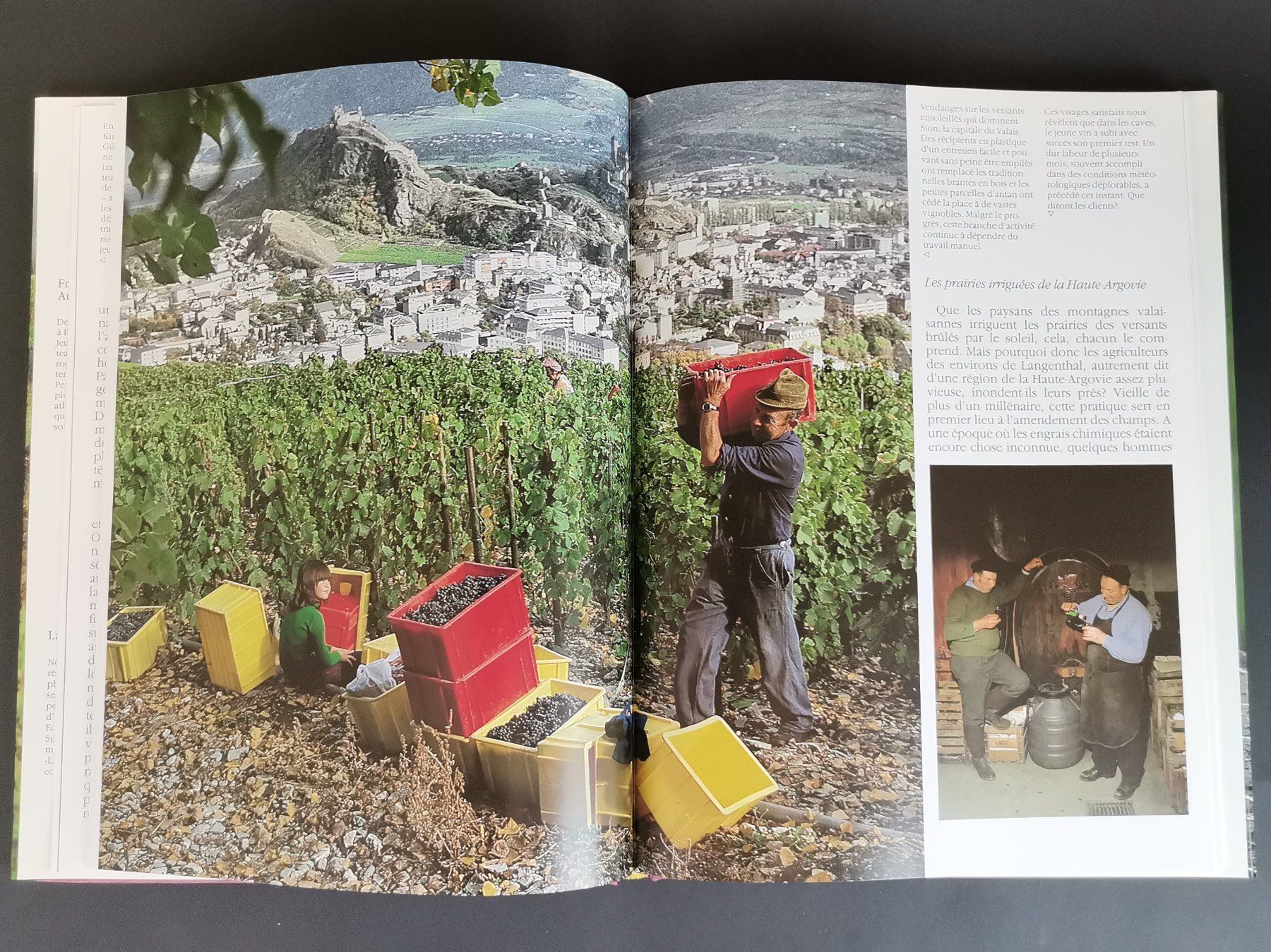 Libri: BUCH - La Suisse Rurale – Usato da Schaffhausen venduto da Restwert_SH 7