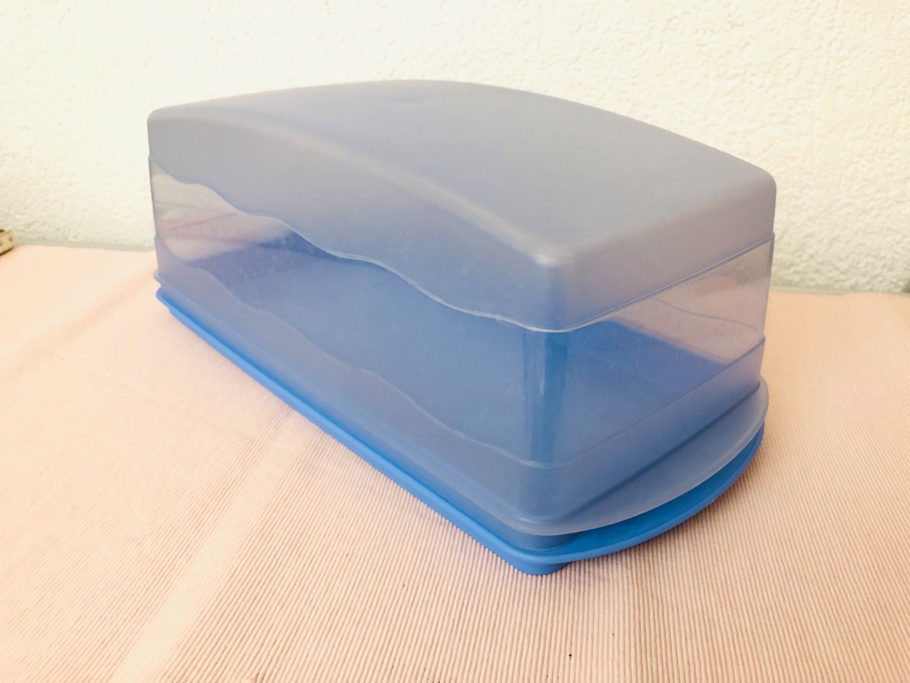 Tupperware Contenitori & Simili: Tupperware Tupper Kuchenbehälter Transportbox Muffins Cake – Usato da Frauenfeld venduto da Babytimmy 1