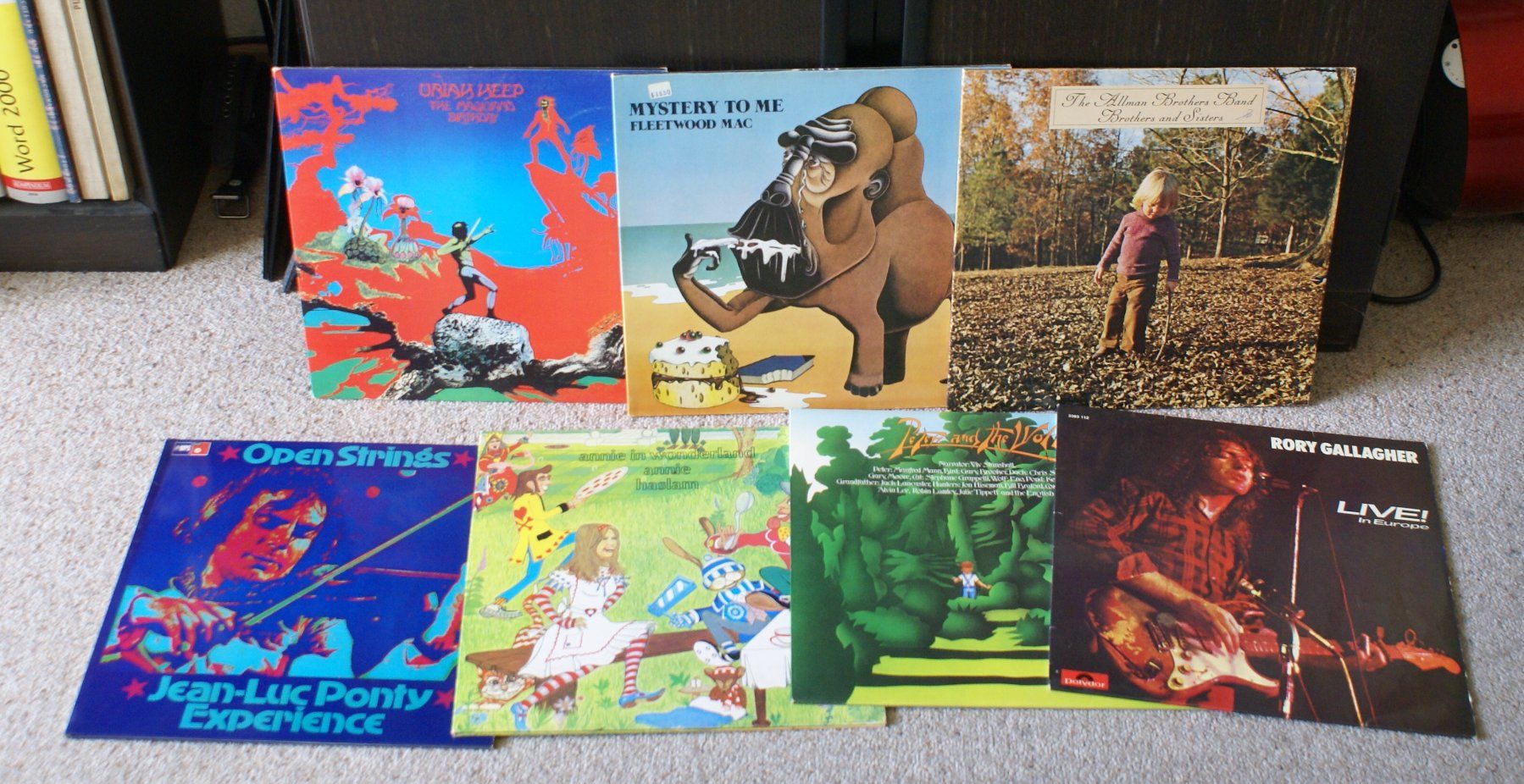Dischi in vinile: 12 LP  70er, 80er Jahre – Usato da Frauenfeld venduto da madocon 1