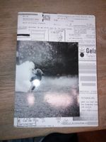 FOTOKLASSIKER Miklos Klaus Rozsa zürich protest foto