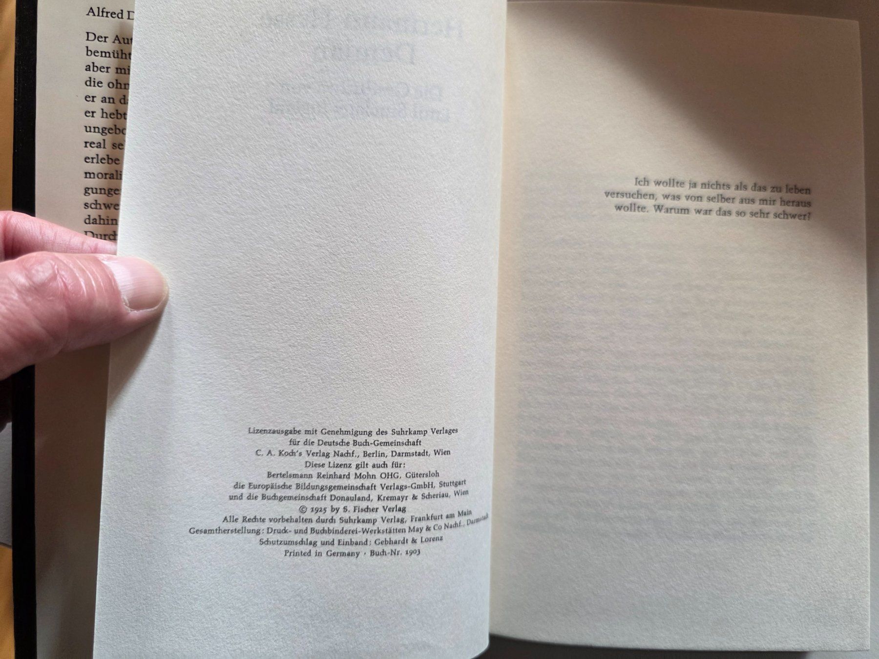 Libri: Hermann Hesse Demina - suhrkamp Buch – Usato da Walterswil BE venduto da Lonitti 7