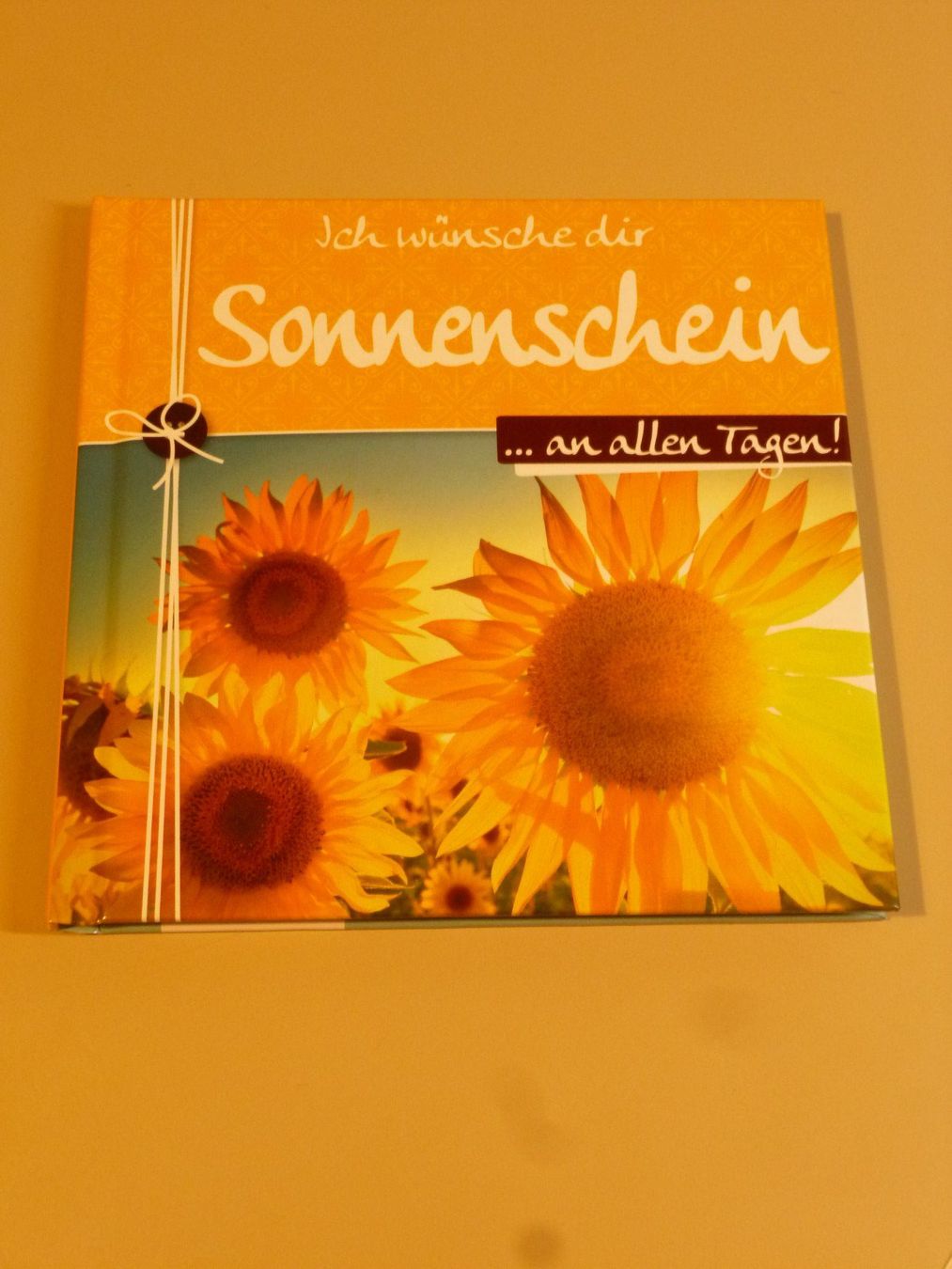 Livres: Büchlein Sonnenschein mit CD – Neuf (Voir description) à Sarnen par Ver01dg