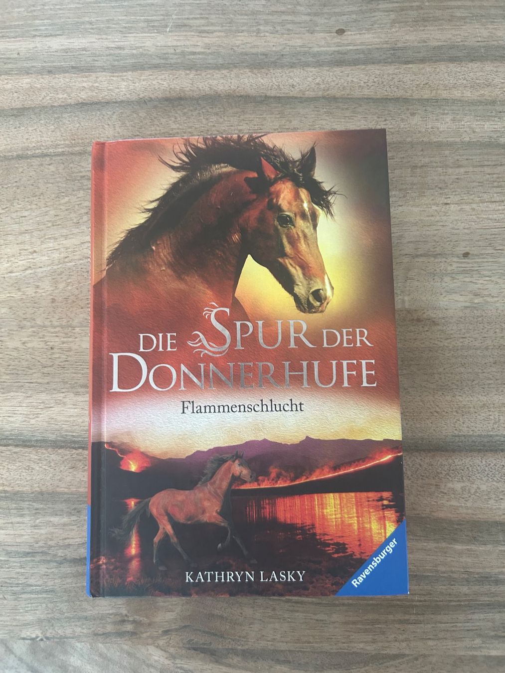 Libri: die Spur der Donnerhufe – Usato da Aarau venduto da Aurora0810