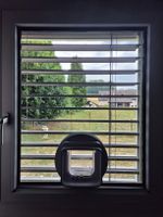 Fensterglas 3-fach Verglasung für Katzentürli