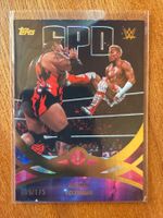 Topps Universe WWE Akira Tozawa /175
