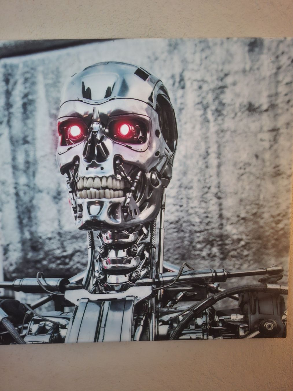 Poster & Bilder: Terminator Leindwand Bild – Gebraucht aus Schellenberg von R.Feigl_Vertrieb 1