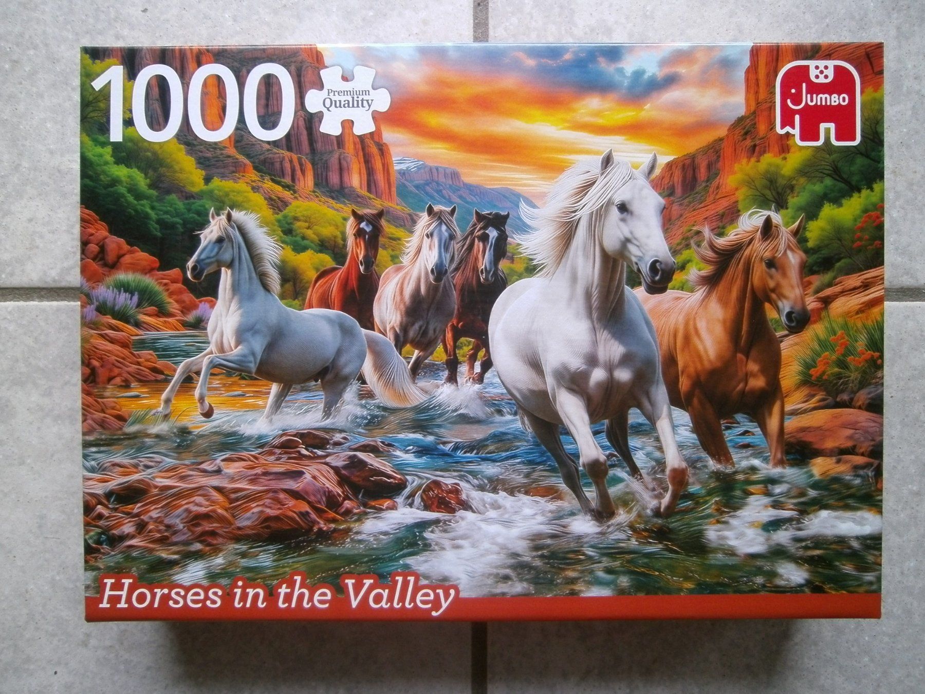 Puzzle: Puzzle Jumbo de 1000 pces Dès 1.00fr.  !!! – Usato da Moutier venduto da Mouschka