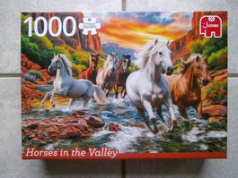 Puzzle Jumbo de 1000 pces Dès 1.00fr.  !!!