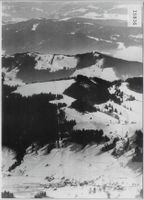Flugaufnahme Oberholz-Wald - Skigebiet