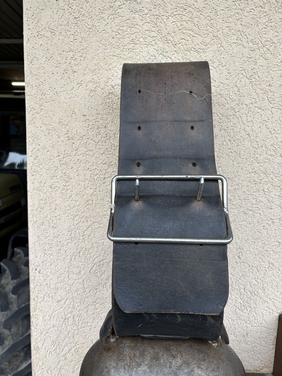 Campanacci mucche: P. Morier Morges NR 5 – Usato da Schangnau venduto da Roseggli82 1