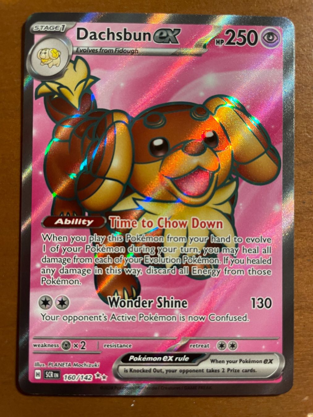 Pokémon Carte collezionabili: Pokemon Dachsbun eX (Versand gratis) – Nuovo (secondo la descrizione) da Chur venduto da Angerson