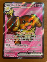 Pokemon Dachsbun eX (Versand gratis)