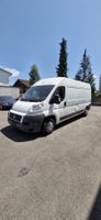 Fiat Ducato Transporter, Nutzfahrzeug