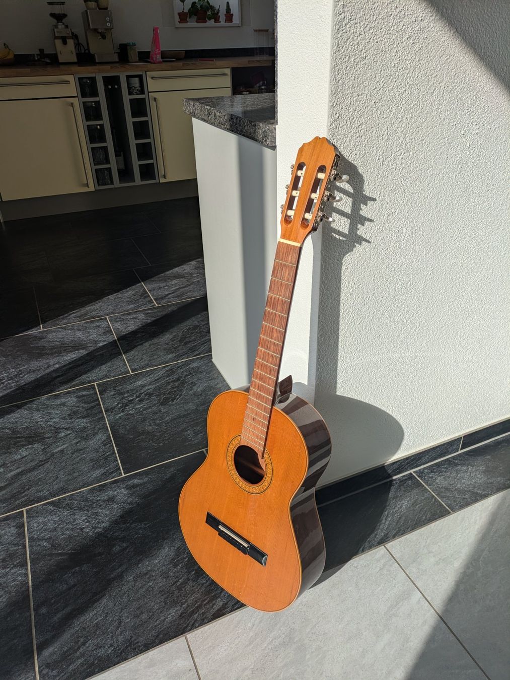 Strumenti musicali: Gitarre ESPALA S-61 – Usato da Suhr venduto da Seegarten