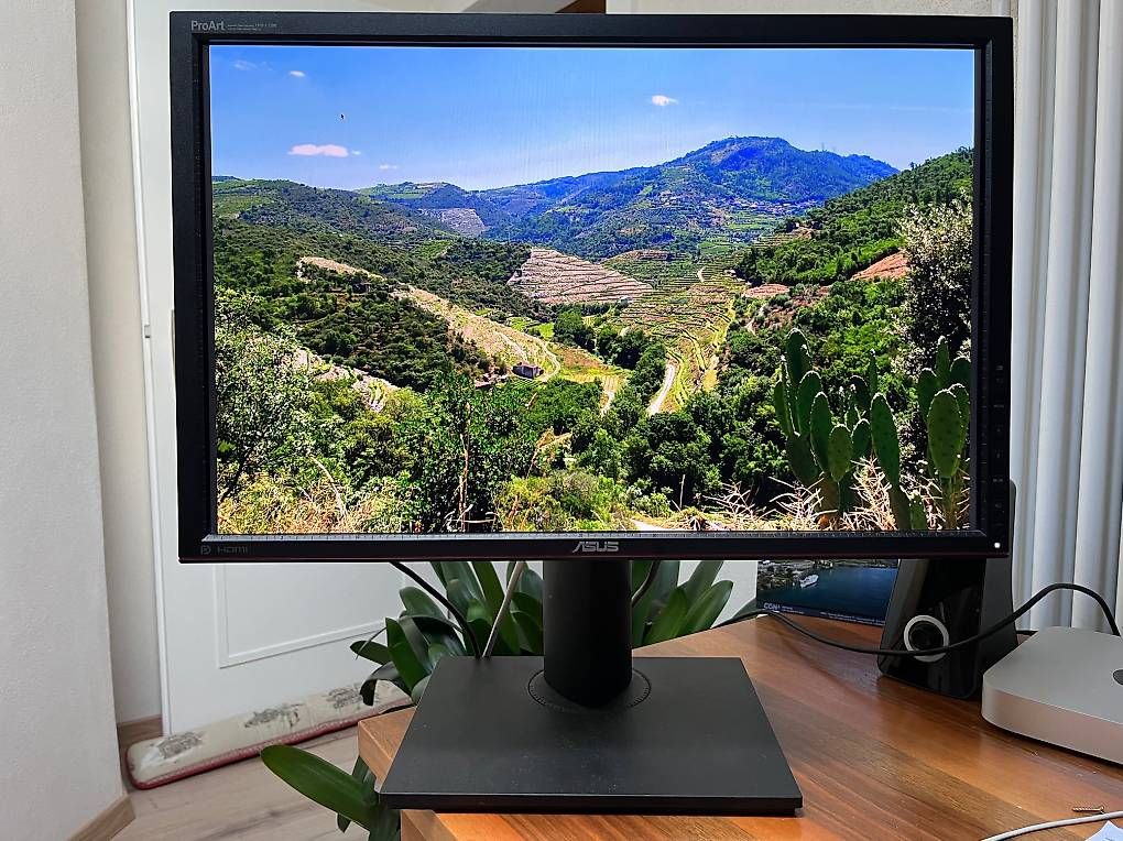 Ecrans: Ecran Acer ProArt 24" – D'occasion à St-Prex par st-prex