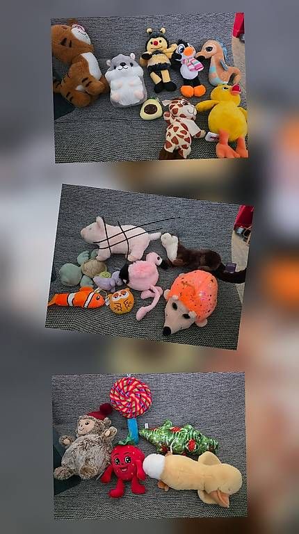 Jouets: Grosses Plüschtier Set – D'occasion à Siebnen par mar_n7g9