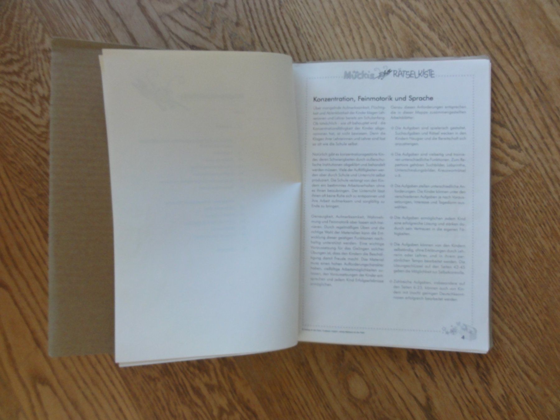 Libri: Rätselheft, neu! – Usato da Riedholz venduto da Taweva 4