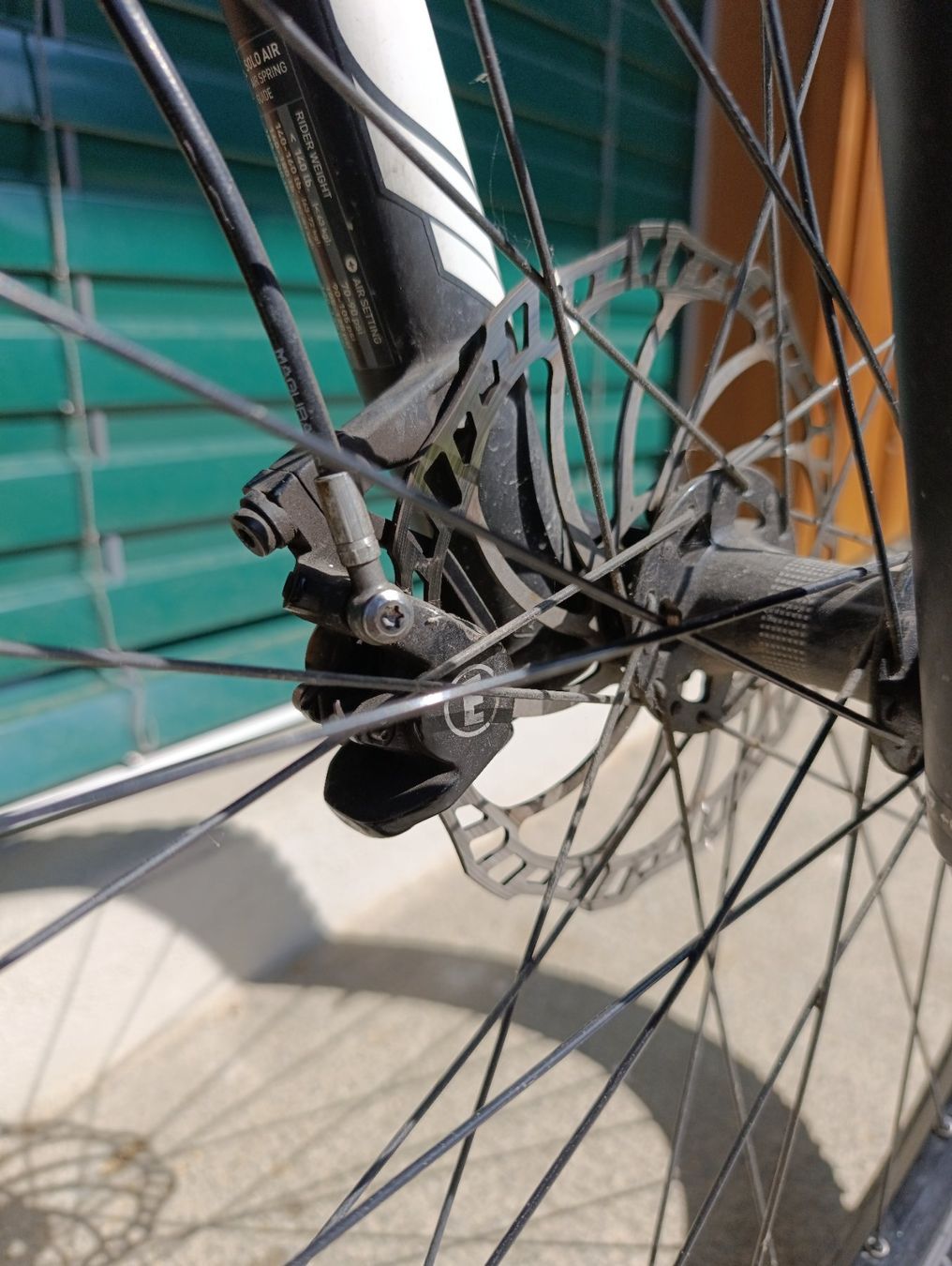 Specialized Biciclette: Specialized Carbon Mountainbike L – Usato da Zürich venduto da study.books 7