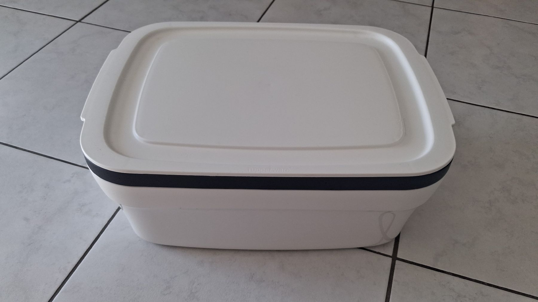 Contenitori & Simili: Tupperware Brotkasten – Usato da Salgesch venduto da nicc79