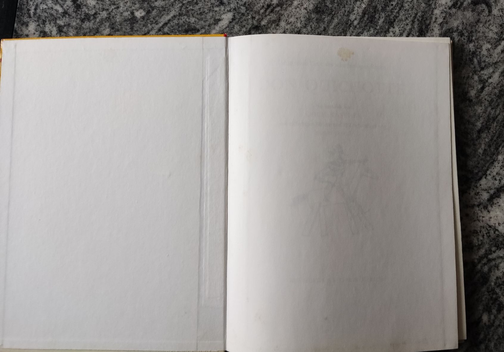 Bücher: Don Quichotte – Gebraucht aus Chur von Nisami 9