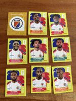 Panini Wm 2026 HAI