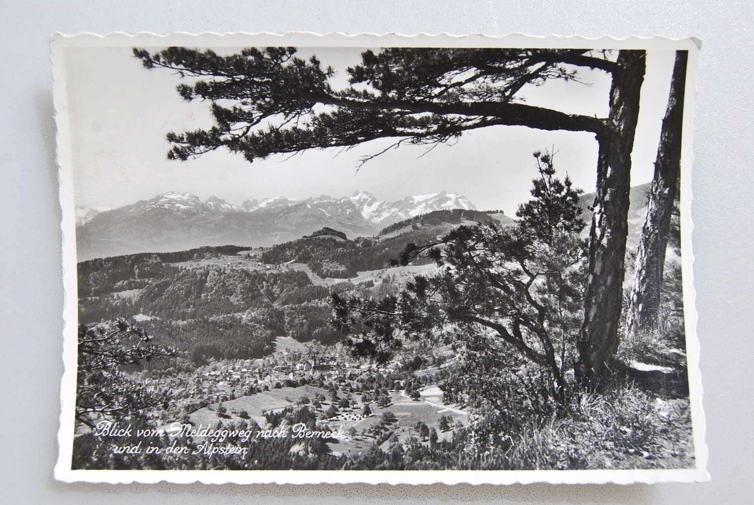 Cartoline postali: AK Blick vom Meldeggweg nach Berneck 1960 – Usato da Rüfenacht BE venduto da Toro06
