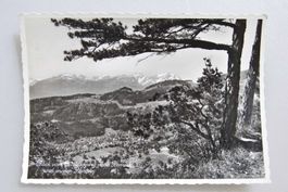 AK Blick vom Meldeggweg nach Berneck 1960