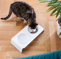 Katze Futterstation & 2 Futterschalen