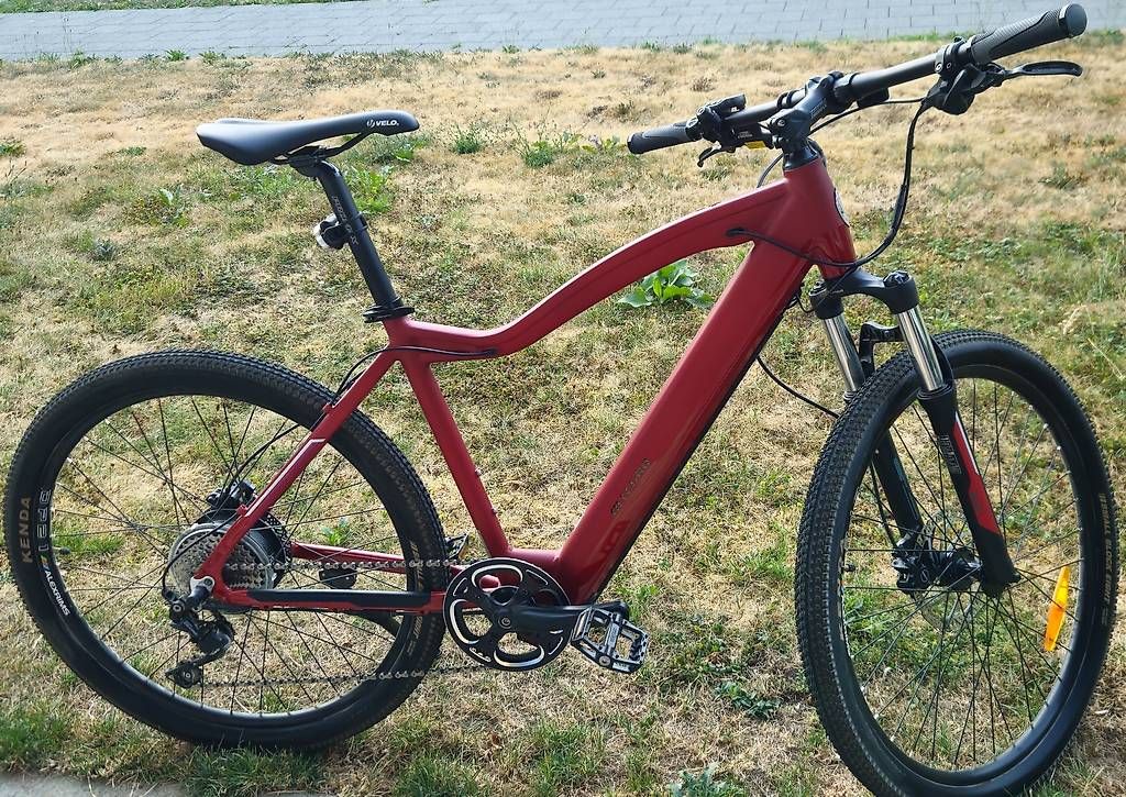 Biciclette: Neuwertiges E-MTB Allegro – Usato da Bern venduto da dom_ph6c 3