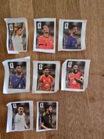 8 Coca Cola Panini Sticker WM 2026