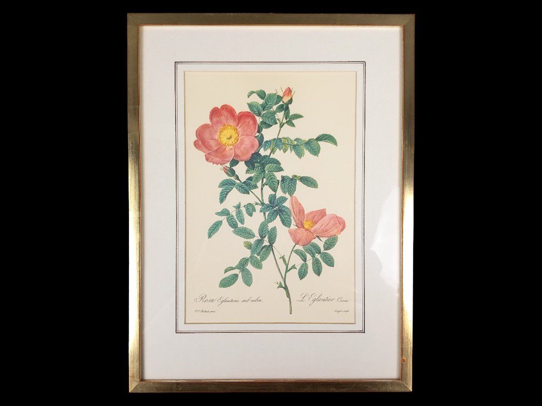 Poster & Bilder: Blumenbild in Bilderramen – Gebraucht aus Hünenberg von Restwert_Zug