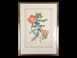 Blumenbild in Bilderramen