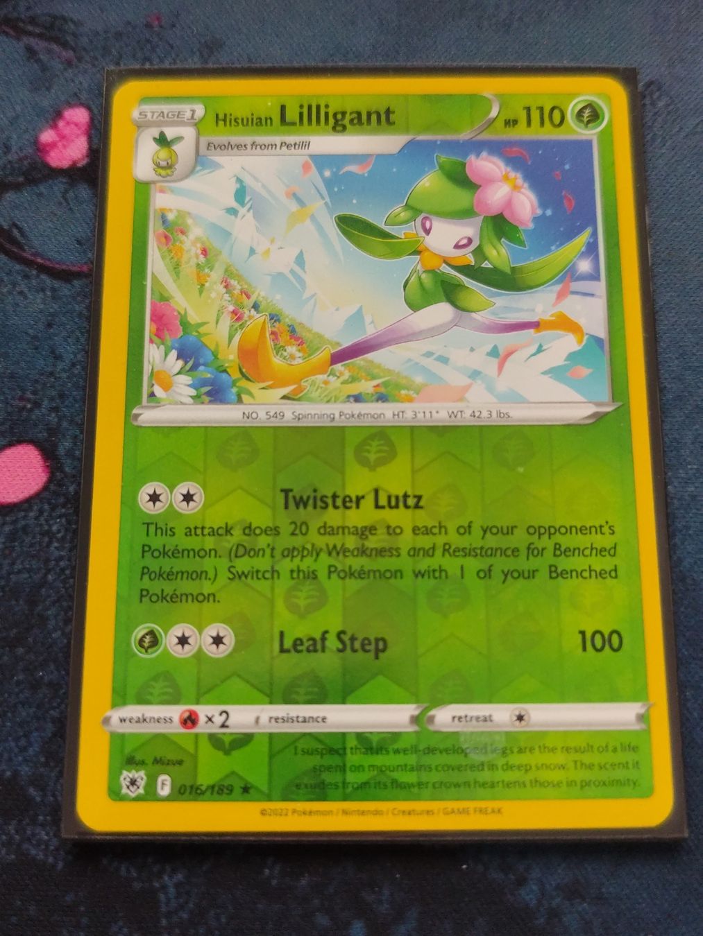 Pokémon Carte collezionabili: Pokemon Lilligant 016/189 EN – Nuovo (secondo la descrizione) da Schlossrued venduto da LAP2012