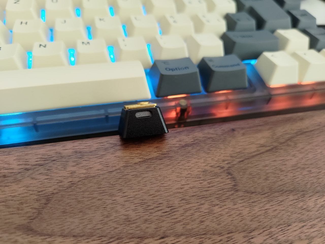 Tastiere: M7 Customized Artisan Keycap – Usato da Küssnacht am Rigi venduto da Nexovox 2